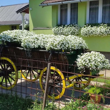 Ove fotografije će vas inspirirati: Pogledajte okućnice na&scaron;ih čitateljica okupane cvijećem