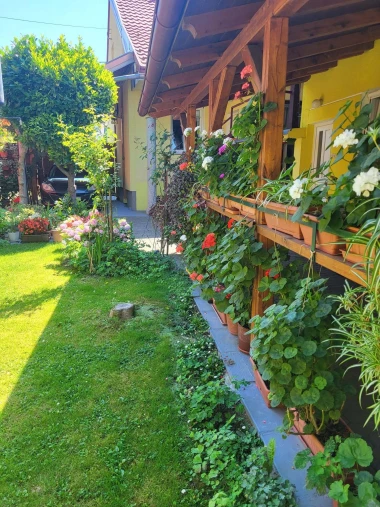 Ove fotografije će vas inspirirati: Pogledajte okućnice na&scaron;ih čitateljica okupane cvijećem
