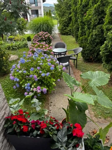 Ove fotografije će vas inspirirati: Pogledajte okućnice na&scaron;ih čitateljica okupane cvijećem
