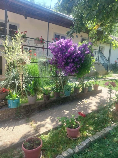 Ove fotografije će vas inspirirati: Pogledajte okućnice na&scaron;ih čitateljica okupane cvijećem