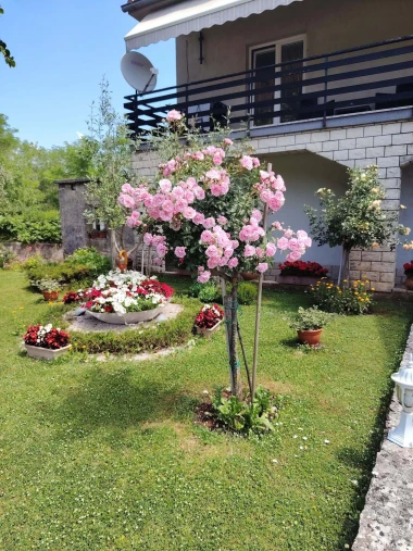 Ove fotografije će vas inspirirati: Pogledajte okućnice na&scaron;ih čitateljica okupane cvijećem