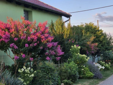 Ove fotografije će vas inspirirati: Pogledajte okućnice na&scaron;ih čitateljica okupane cvijećem