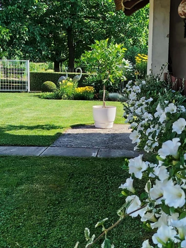 Ove fotografije će vas inspirirati: Pogledajte okućnice na&scaron;ih čitateljica okupane cvijećem