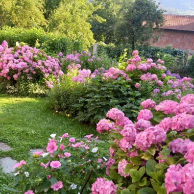 Ove fotografije će vas inspirirati: Pogledajte okućnice na&scaron;ih čitateljica okupane cvijećem