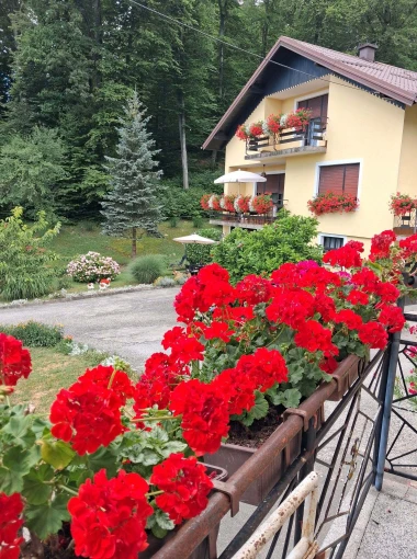 Ove fotografije će vas inspirirati: Pogledajte okućnice na&scaron;ih čitateljica okupane cvijećem