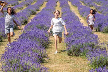 Ljubičasti raj: Ova polja lavande izgledaju kao iz bajke, miri&scaron;u i preko fotografije