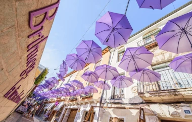 Ljubičasti raj: Ova polja lavande izgledaju kao iz bajke, miri&scaron;u i preko fotografije