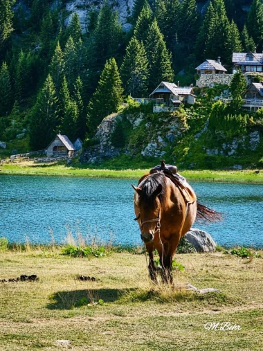 Ljeto za pamćenje: 50 najboljih fotografija s ljetovanja na&scaron;ih čitateljica, neke su zaista čarobne