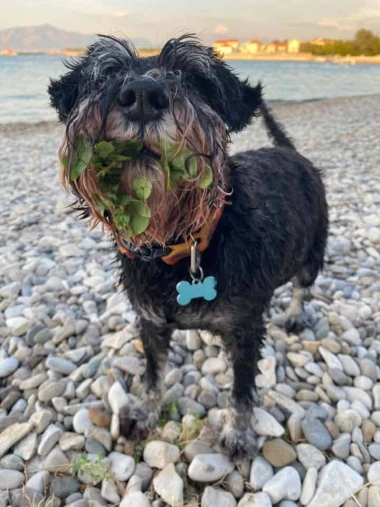 Ljeto za pamćenje: 50 najboljih fotografija s ljetovanja na&scaron;ih čitateljica, neke su zaista čarobne