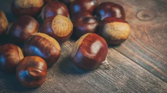 Kesteni čekaju na nas. Znaš li što sve možeš napraviti od njih? Imamo recepte