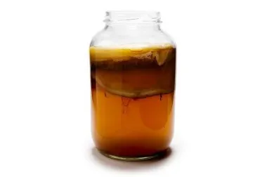 Kombucha - eliksir života