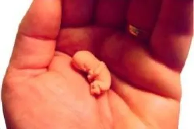 Trudnoća: Rast i razvoj vaše bebe u prvom tromjesečju