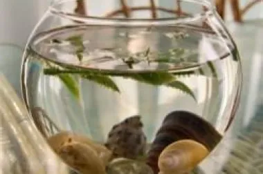 Feng shui - aktivatori životnog prostora (2. dio)