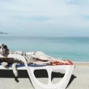 Savjeti za putovanje na godišnji odmor sa psom
