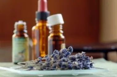 Radionica za aromaterapiju sa Penny Price