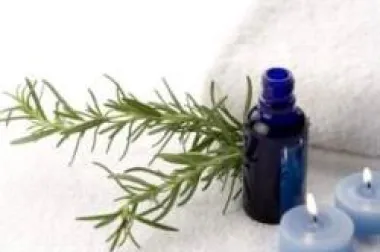 Ružmarin (Rosmarinus officinalis)