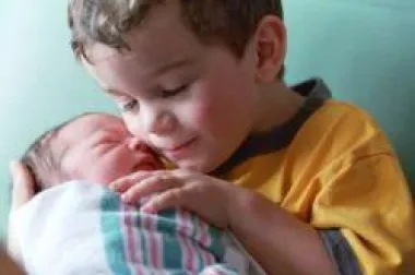 Ljubomora zbog prinove