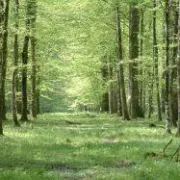 Potreba za zdravim uređenjem prostora