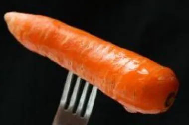 Raw food diet - dijeta sa sirovim namirnicama