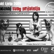 Pronađi svog prijatelja