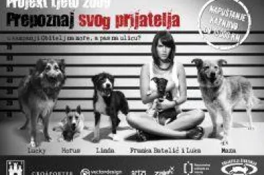 Pronađi svog prijatelja