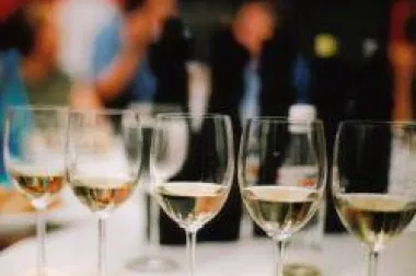 Degustacija vina