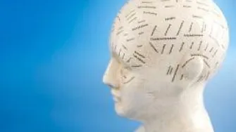 Mentalne mape – neka vam informacije ostanu u mozgu