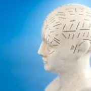 Mentalne mape – neka vam informacije ostanu u mozgu