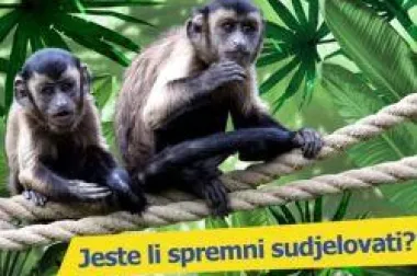 Zimski programi za djecu