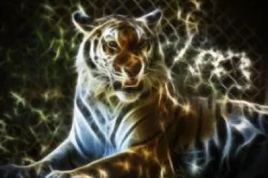 Kineski horoskop za 2010. – godina Tigra