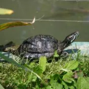 Međunarodni dan biološke raznolikosti i Dan zaštite prirode u zagrebačkom ZOO