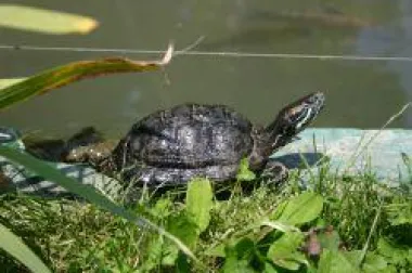 Međunarodni dan biološke raznolikosti i Dan zaštite prirode u zagrebačkom ZOO