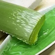 Aloe vera pomaže očuvanju zdravlja cijelog tijela