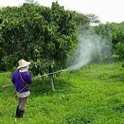 Koliko su pesticidi opasni i gdje se sve skrivaju?