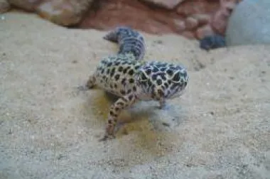 Egzotična zima u ZOO vrtu