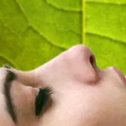 Dugovječnost u zdravlju