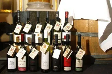 Otvoren šesti Međunarodni festival vina i kulinarstva