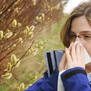 Alergije – sve češći problem