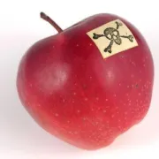Je li baš sve opasno?