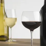 10 stvari koje možete napraviti s vinom, osim da ga popijete