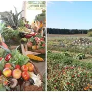 Eko imanje Zrno – ljepota i bioraznolikost