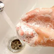 Kuhinjske zamke pune bakterija kojih se treba čuvati