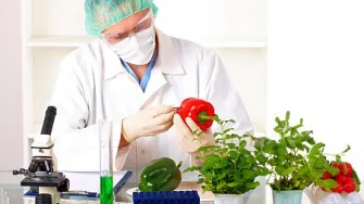 Kome vjerovati kad se radi o GMO?