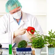 Kome vjerovati kad se radi o GMO?
