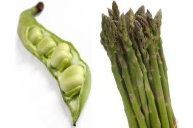 Proljetne gastronomske delicije iz prirode