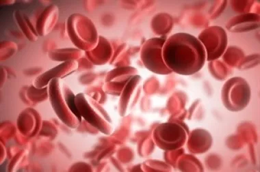 Poklanjamo DNA test faktora koagulacije