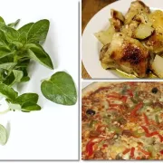 Origano – začin i lijek
