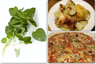 Origano – začin i lijek