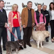 Veliki odaziv na akciji udomljavanja pasa u sklopu "Vau vikenda"