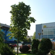 McDonald's bira Pratitelja igrača za utakmicu godine